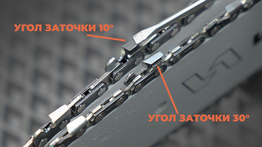 scale_1200 (8).jpg